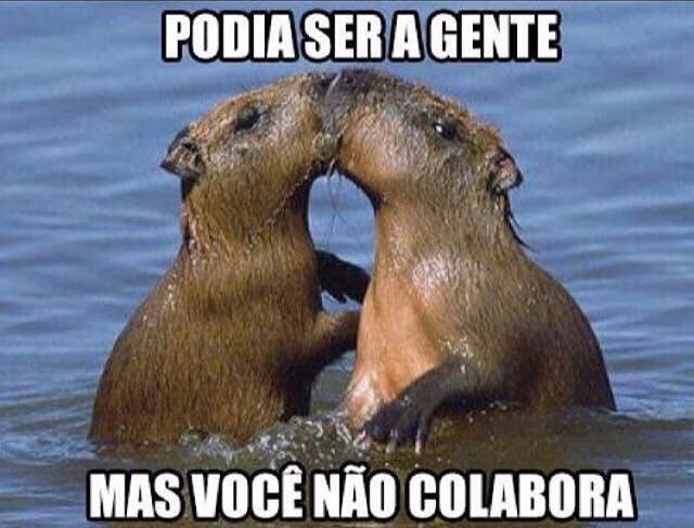 Imagem pra mandar pro crush